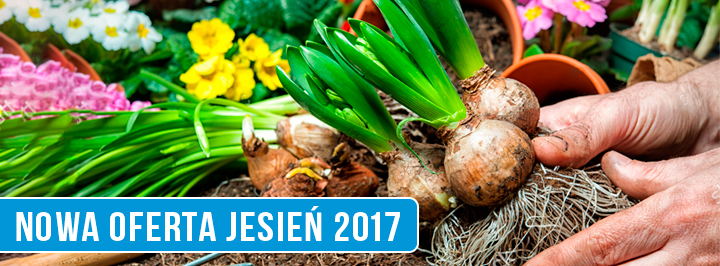 NOWY SEZON JESIEŃ 2017