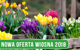 Sezon WIOSNA 2018