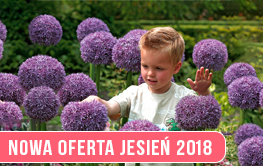Oferta hurtowa na sezon JESIEŃ 2018!