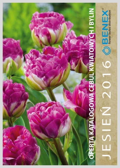 SEZON JESIEŃ 2016